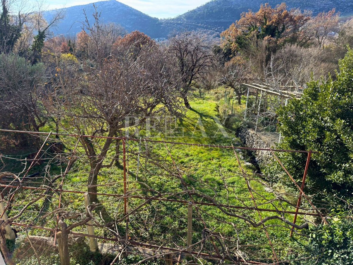 Bribir - un'antichità con potenziale