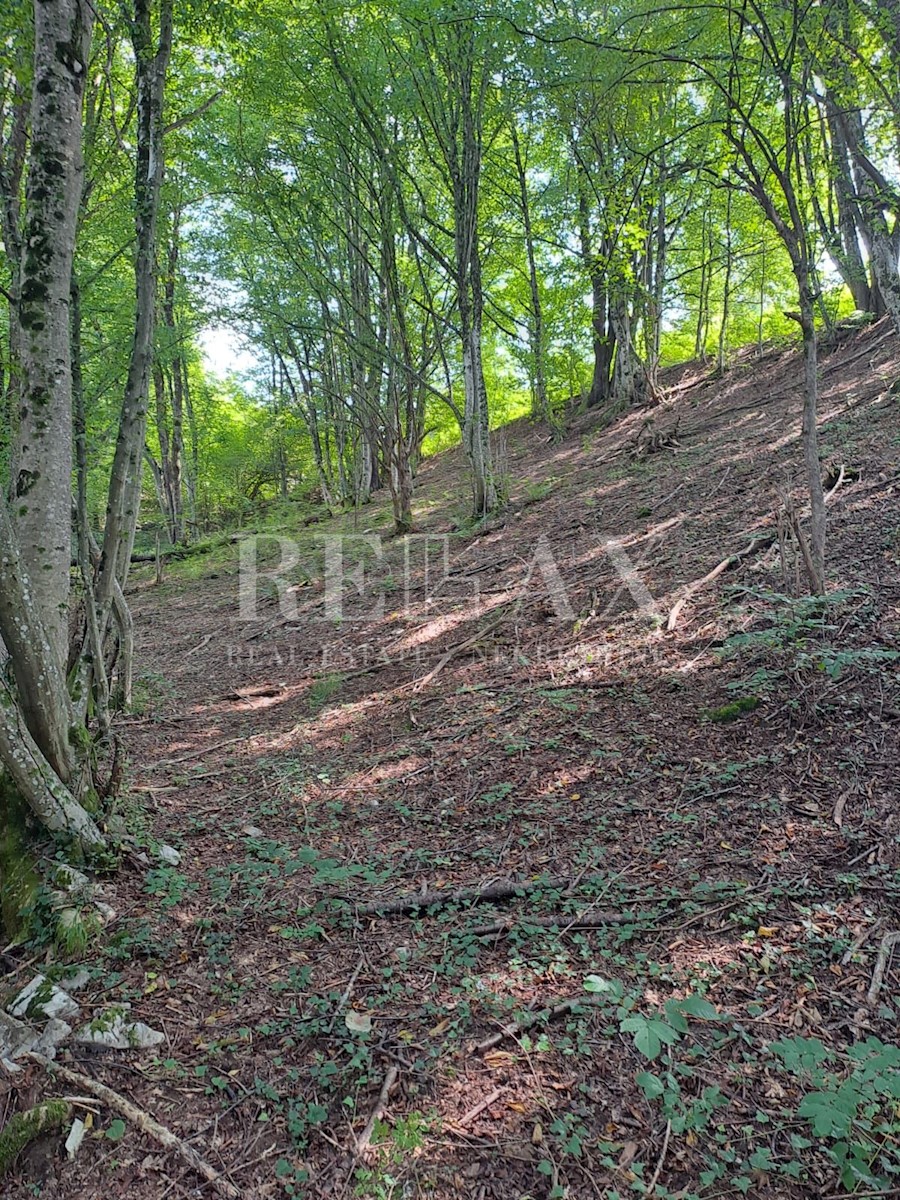 Plitvička Jezera - terreno edificabile di pregio nella zona T1, T2, T3