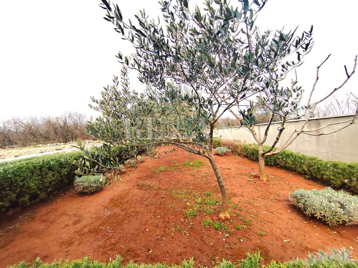 Isola di Krk, Omišalj - Casa con giardino e piscina
