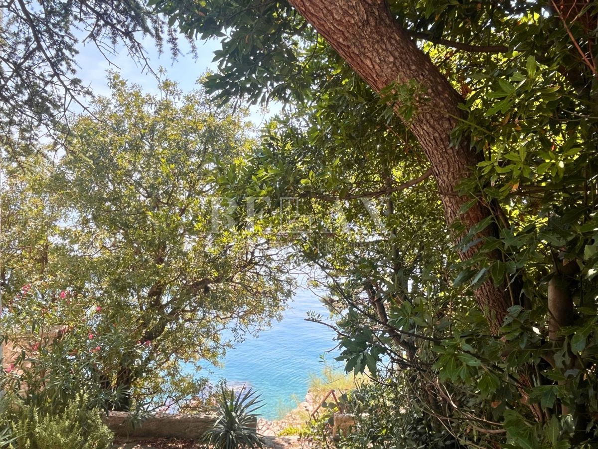 Novi Vinodolski - appartamento in prima fila al mare