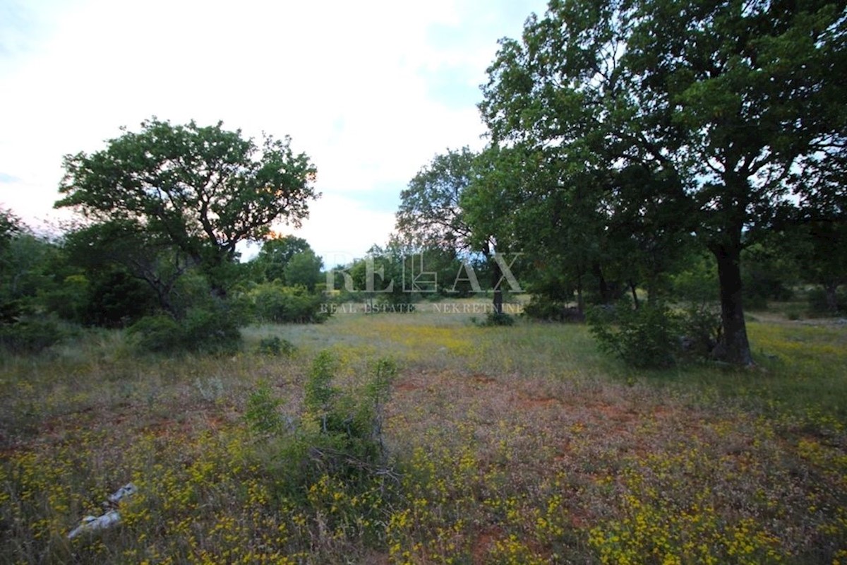 KLENOVICA, POLJICE - Terreno agricolo 6643 m2 con due ruderi e vista