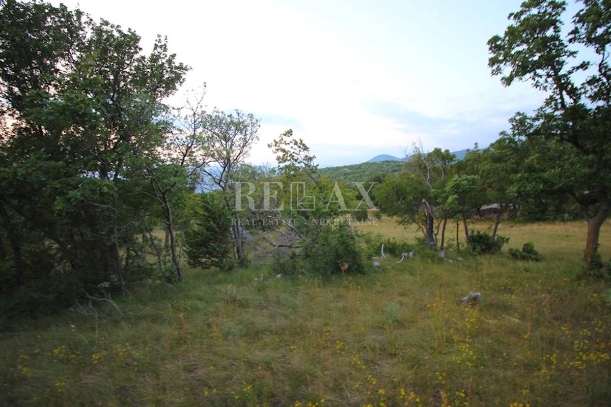 KLENOVICA, POLJICE - Terreno agricolo 6643 m2 con due ruderi e vista