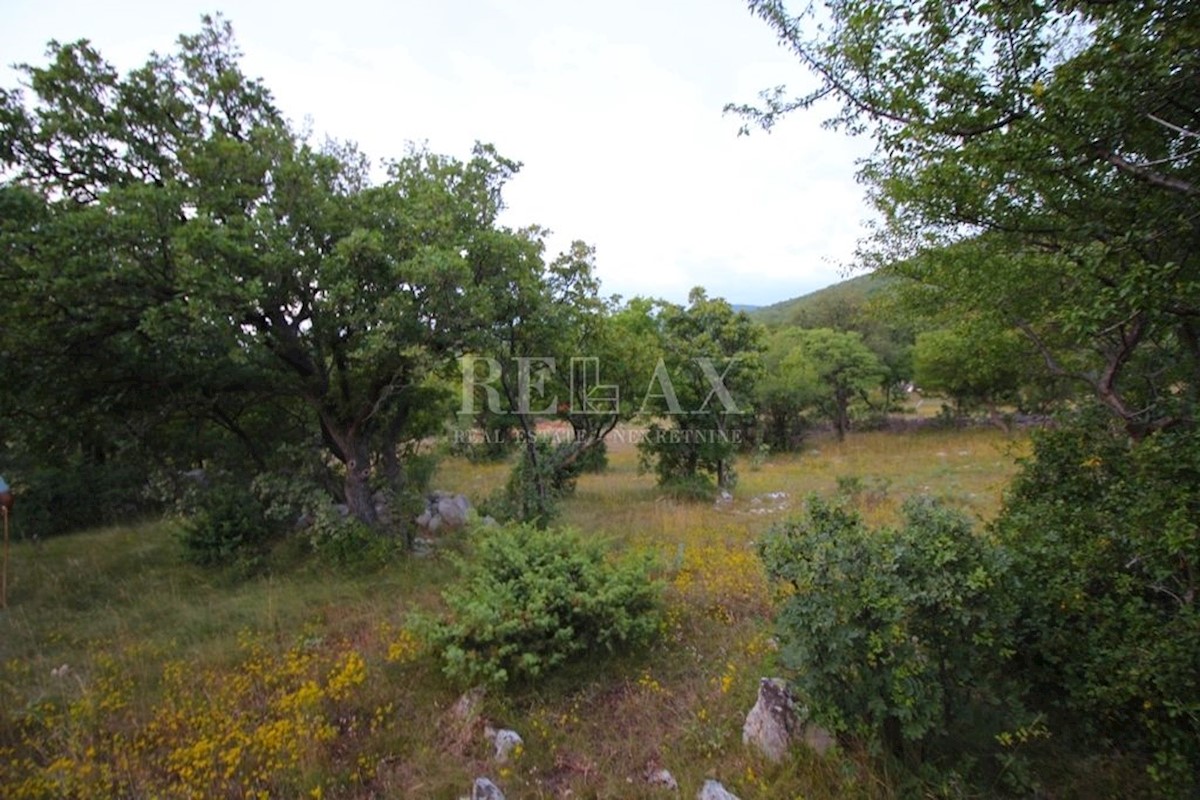 KLENOVICA, POLJICE - Terreno agricolo 6643 m2 con due ruderi e vista