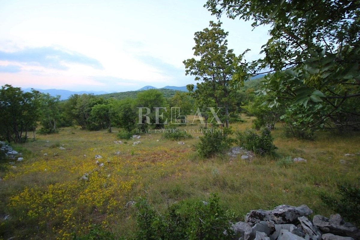 KLENOVICA, POLJICE - Terreno agricolo 6643 m2 con due ruderi e vista