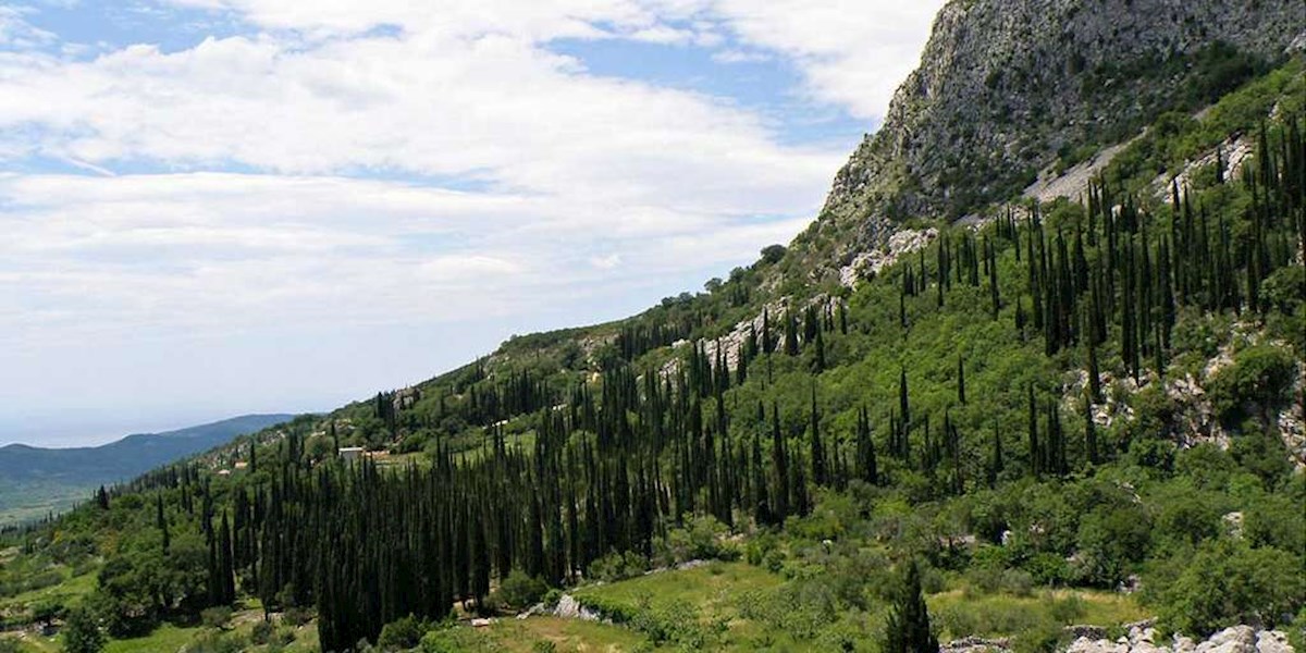 Konavli, Uskoplje, casa in pietra da ristrutturare con ampio giardino e vista mare