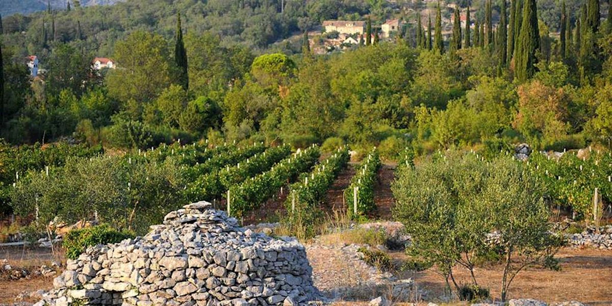 Konavli, Uskoplje, casa in pietra da ristrutturare con ampio giardino e vista mare