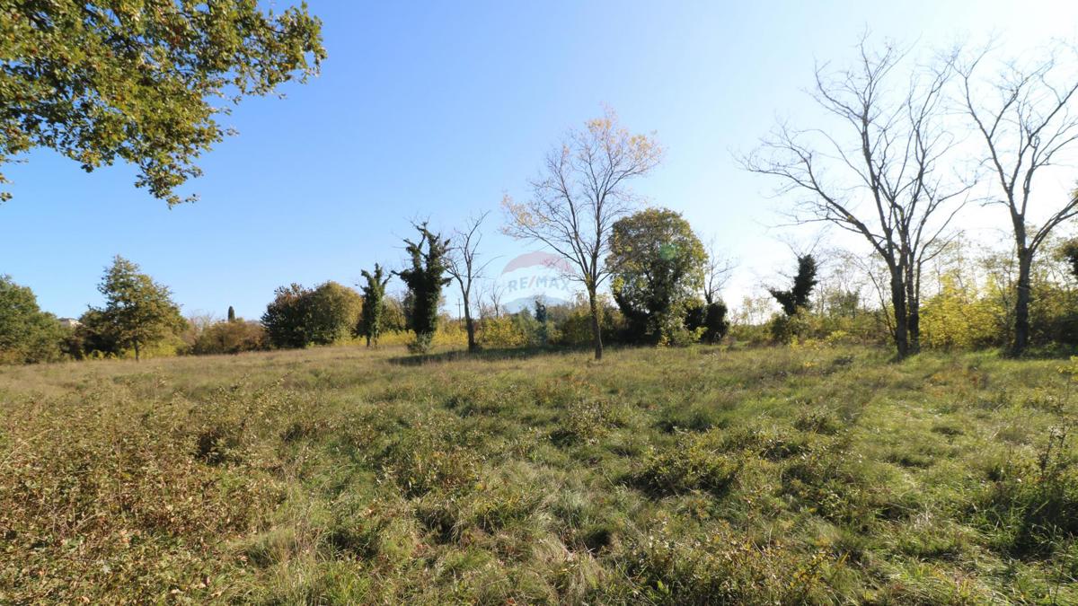 Terreno edificabile Baderna, Poreč, 120.005m2