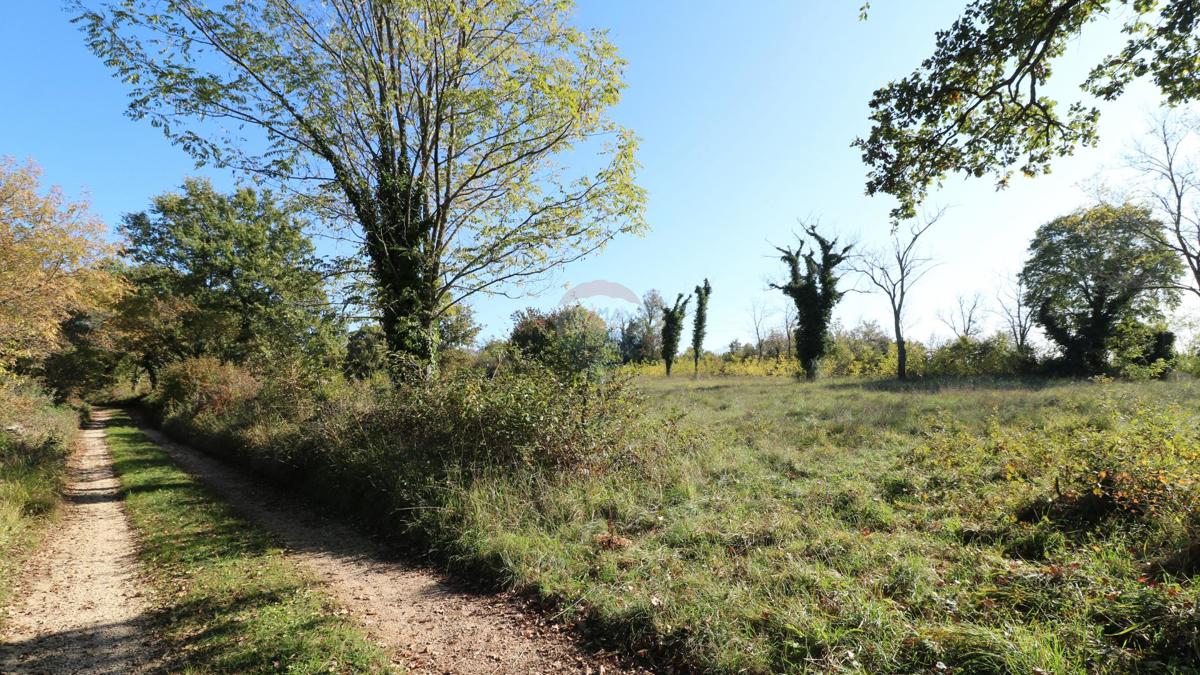 Terreno edificabile Baderna, Poreč, 120.005m2