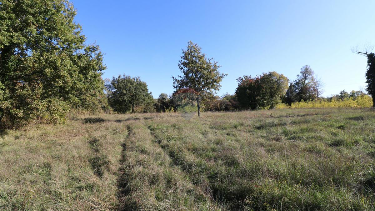 Terreno edificabile Baderna, Poreč, 120.005m2