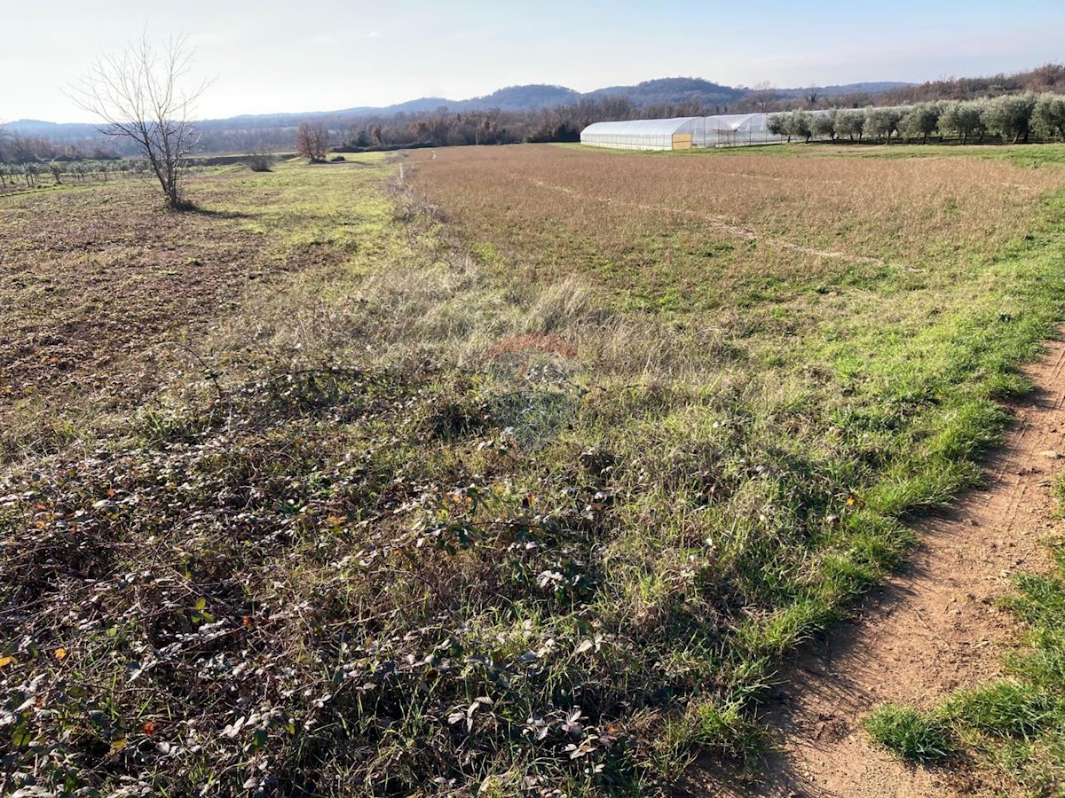 Terreno non edificabile Kadumi, Poreč, 7.670m2