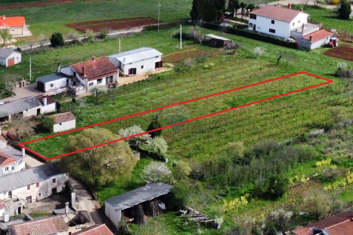 Terreno edificabile Žminj, 2.055m2