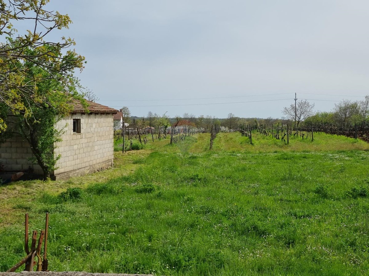 Terreno edificabile Žminj, 2.055m2