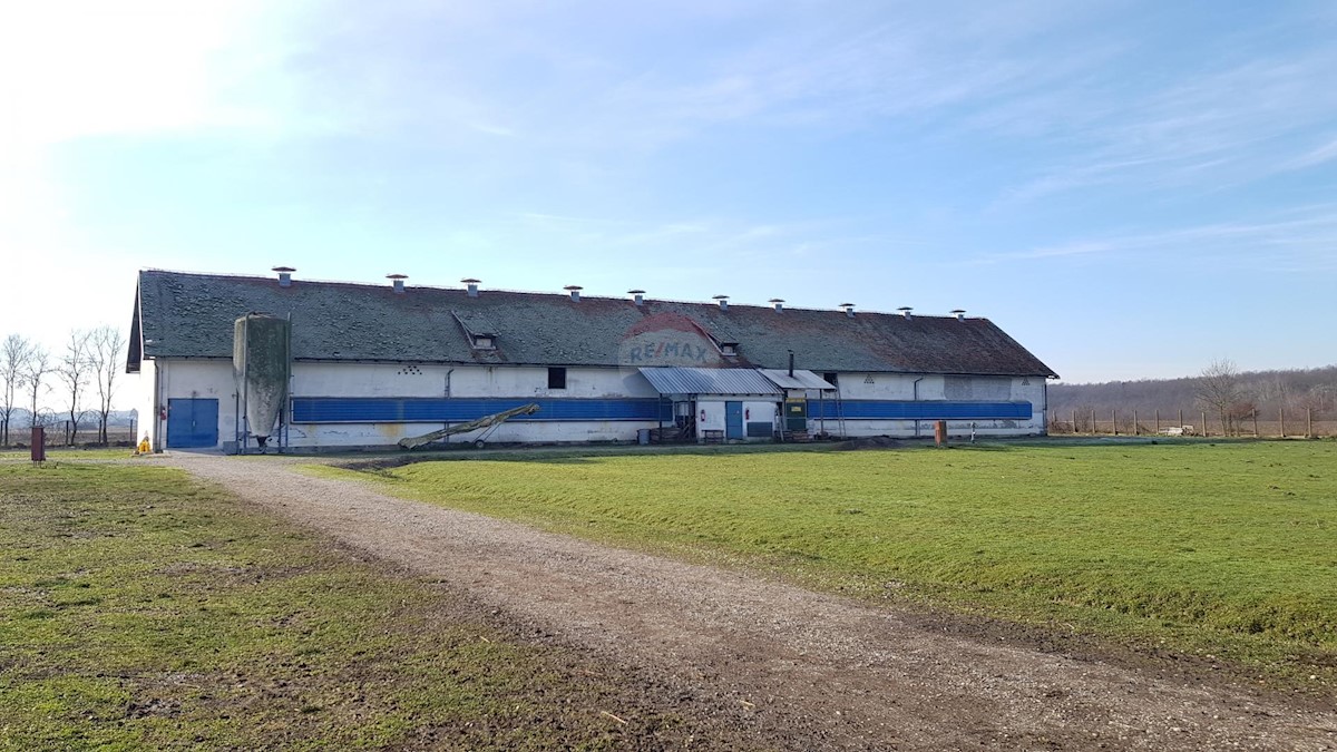 Attività commerciale Mala Buna, Velika Gorica - Okolica, 2.632m2