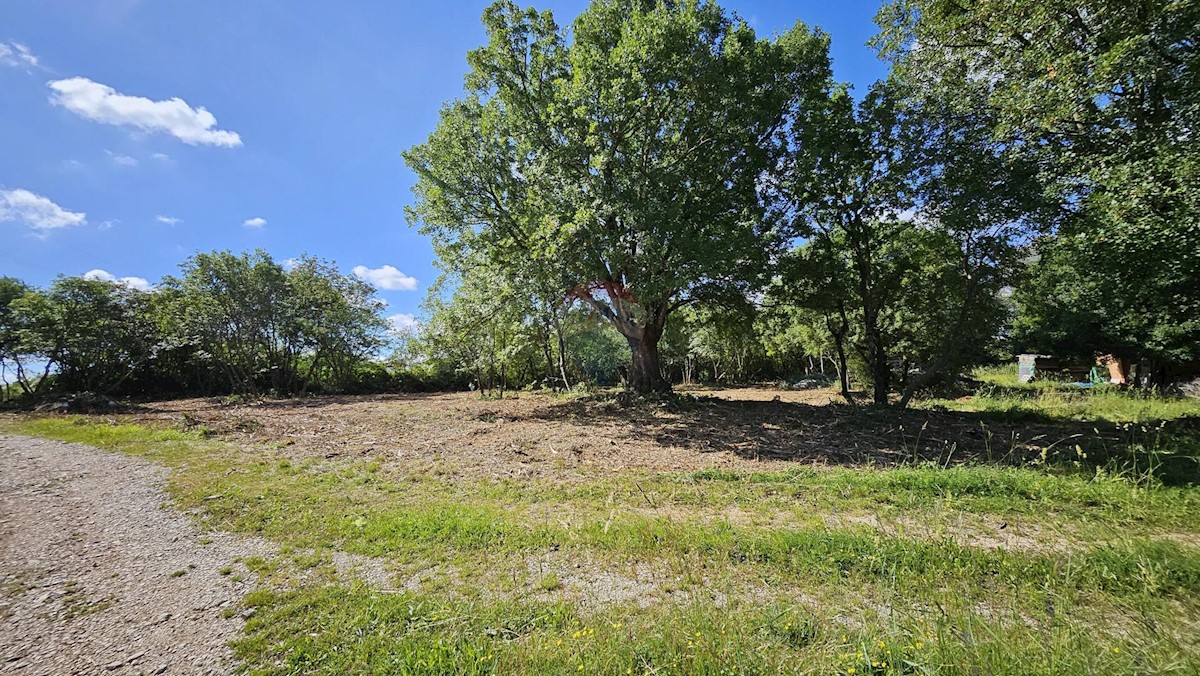 Terreno edificabile Kaštel, Buje, 2.119m2