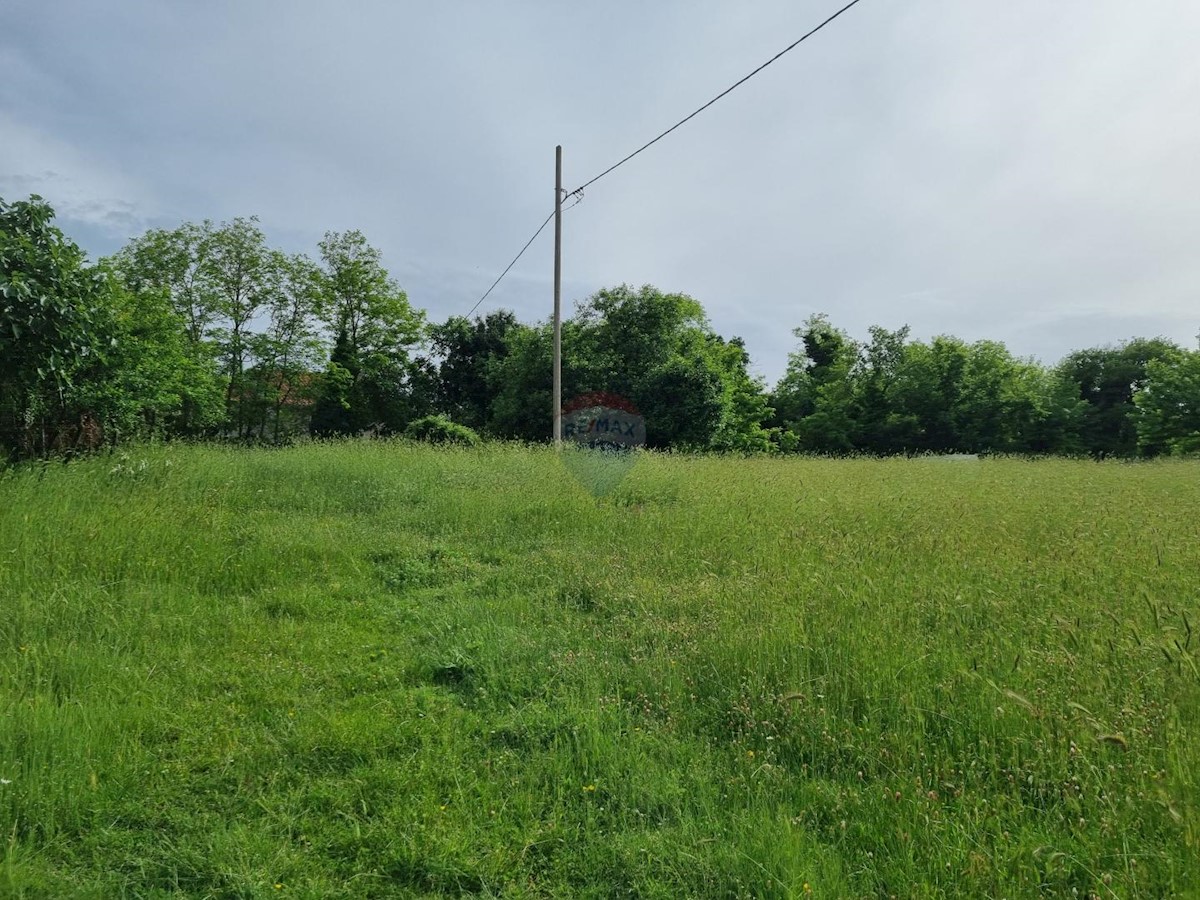 Terreno edificabile Žminj, 1.000m2