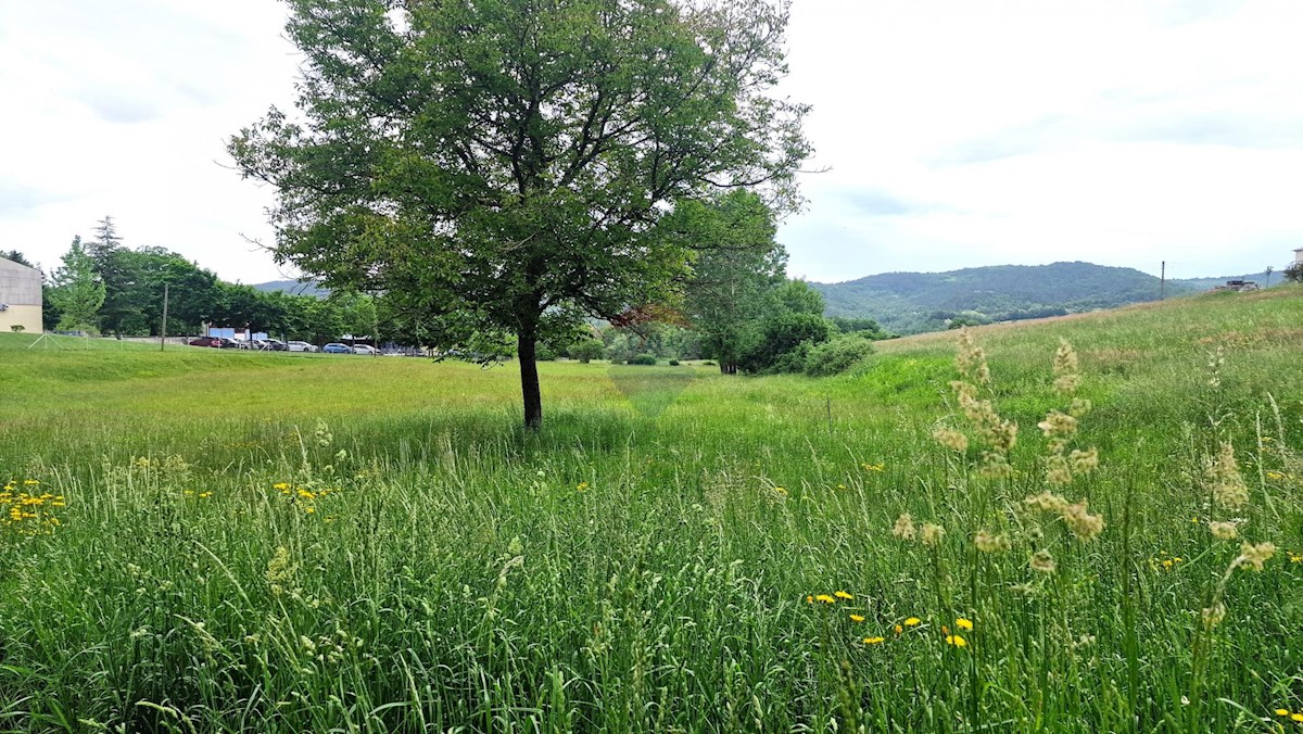 Terreno edificabile Centar, Pazin, 7.500m2