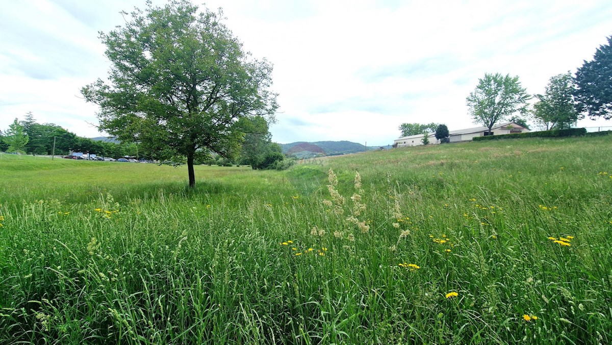 Terreno edificabile Centar, Pazin, 7.500m2