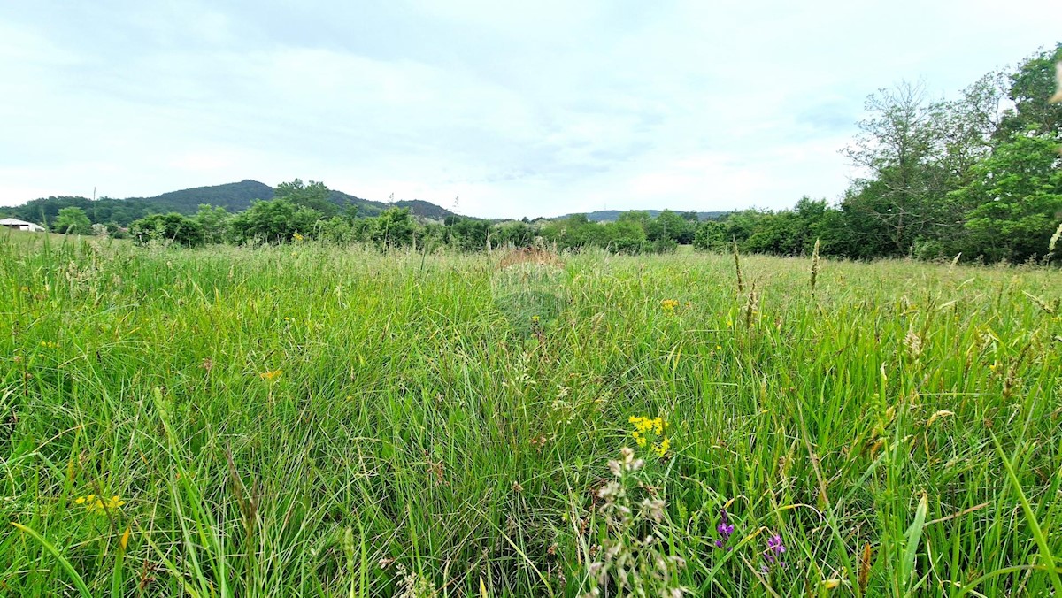 Terreno edificabile Centar, Pazin, 7.500m2