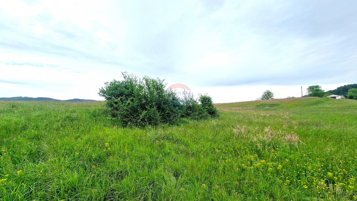 Terreno edificabile Centar, Pazin, 7.500m2