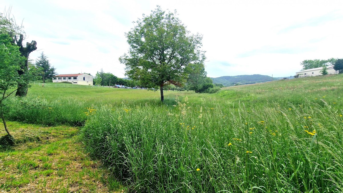 Terreno edificabile Centar, Pazin, 7.500m2