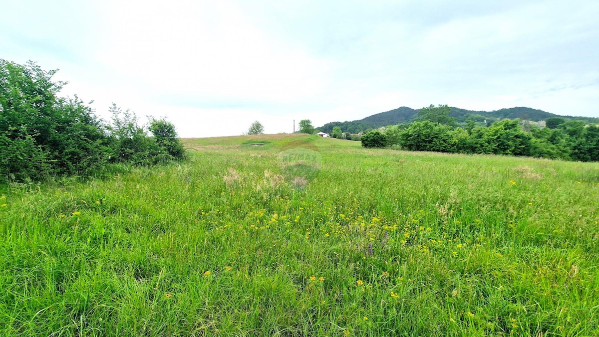 Terreno edificabile Centar, Pazin, 7.500m2