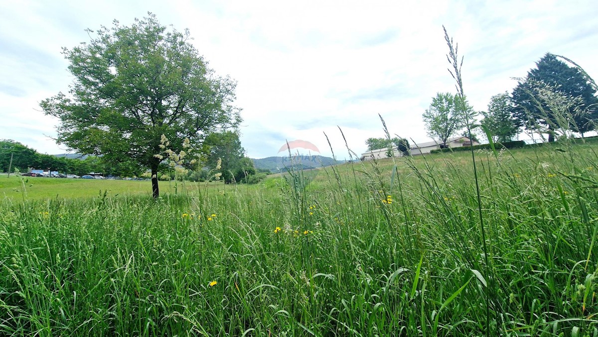 Terreno edificabile Centar, Pazin, 7.500m2