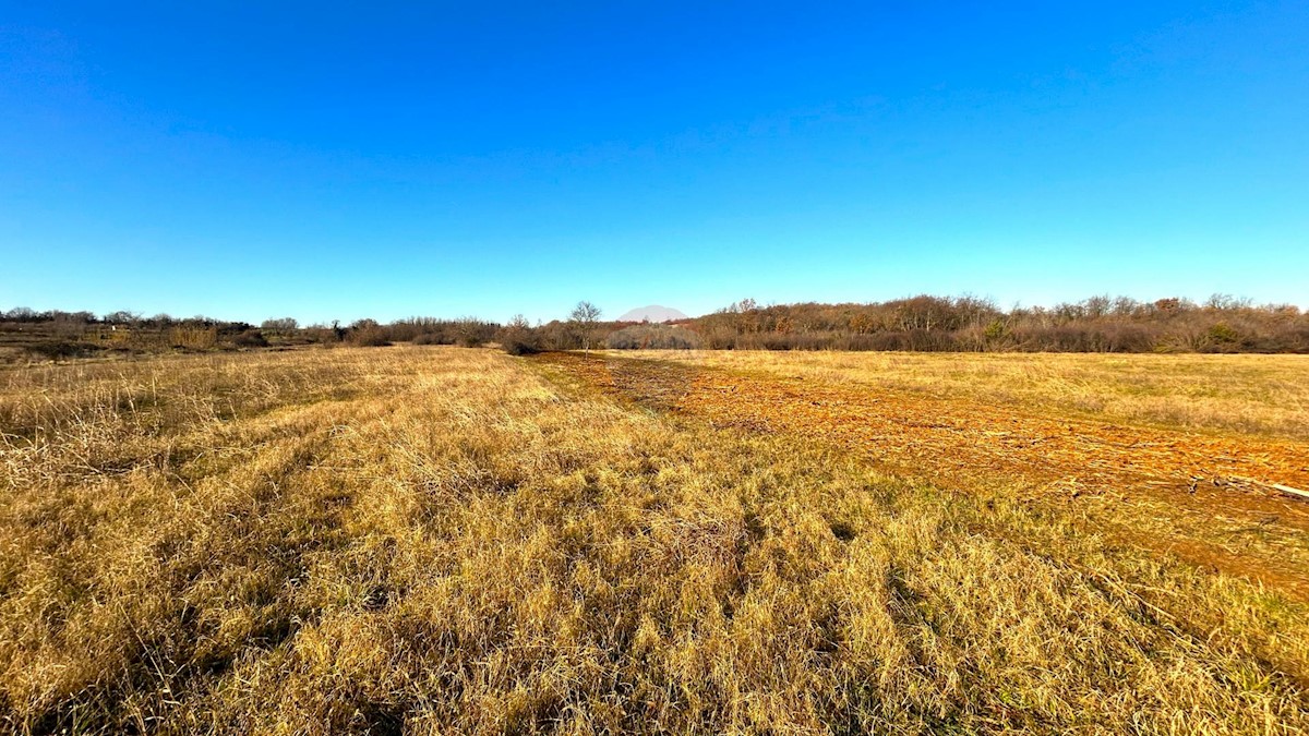 Terreno non edificabile Materada, Umag, 10.277m2