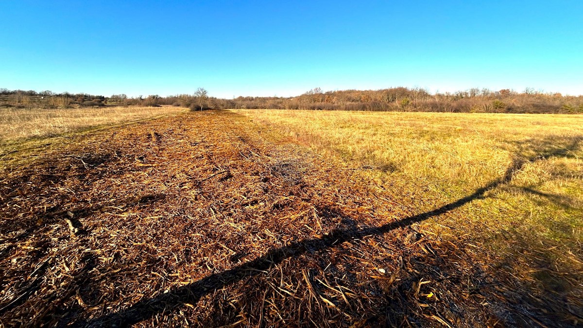 Terreno non edificabile Materada, Umag, 10.277m2