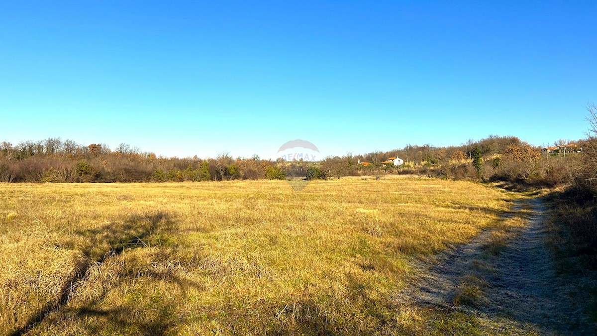 Terreno non edificabile Materada, Umag, 10.277m2