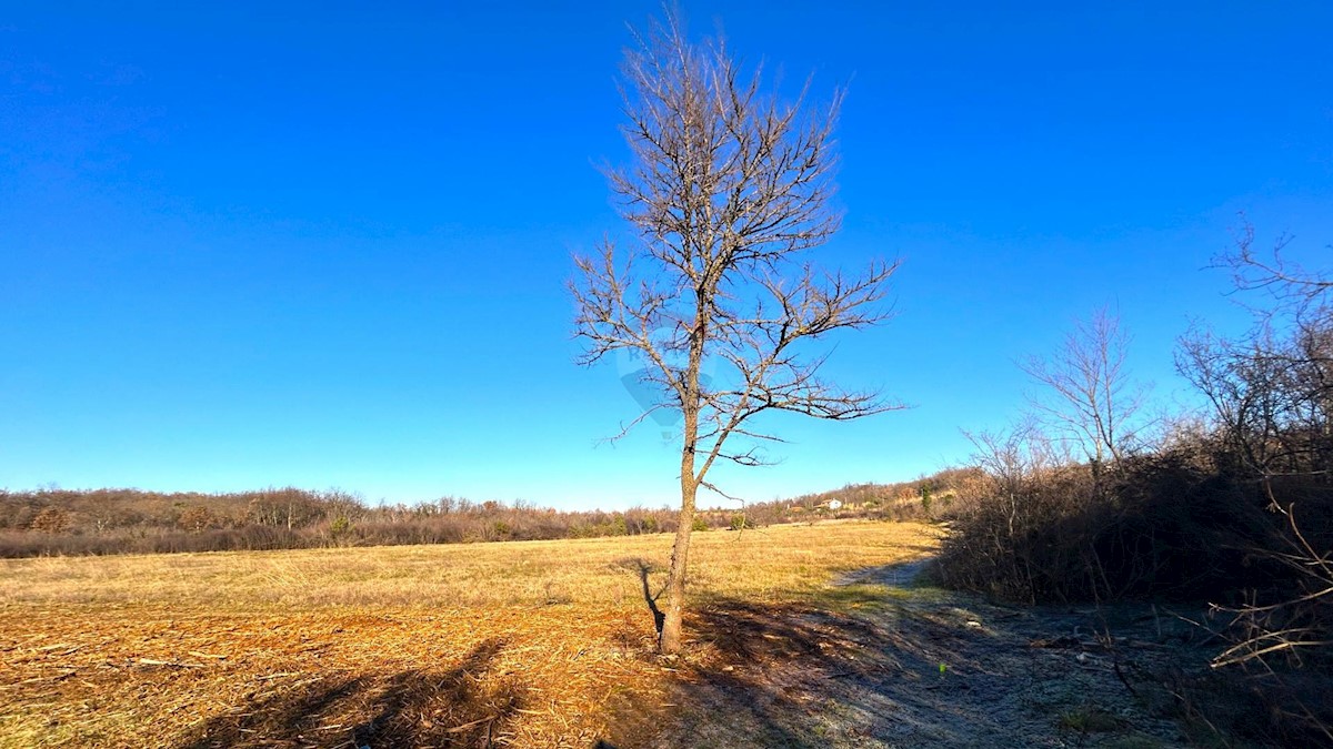 Terreno non edificabile Materada, Umag, 10.277m2