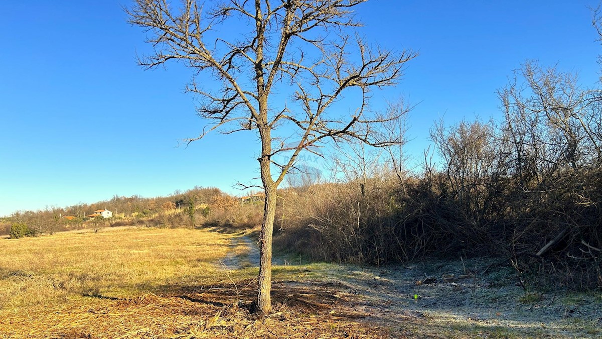 Terreno non edificabile Materada, Umag, 10.277m2