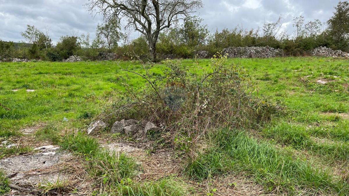 Terreno edificabile Sveti Lovreč, 1.597m2