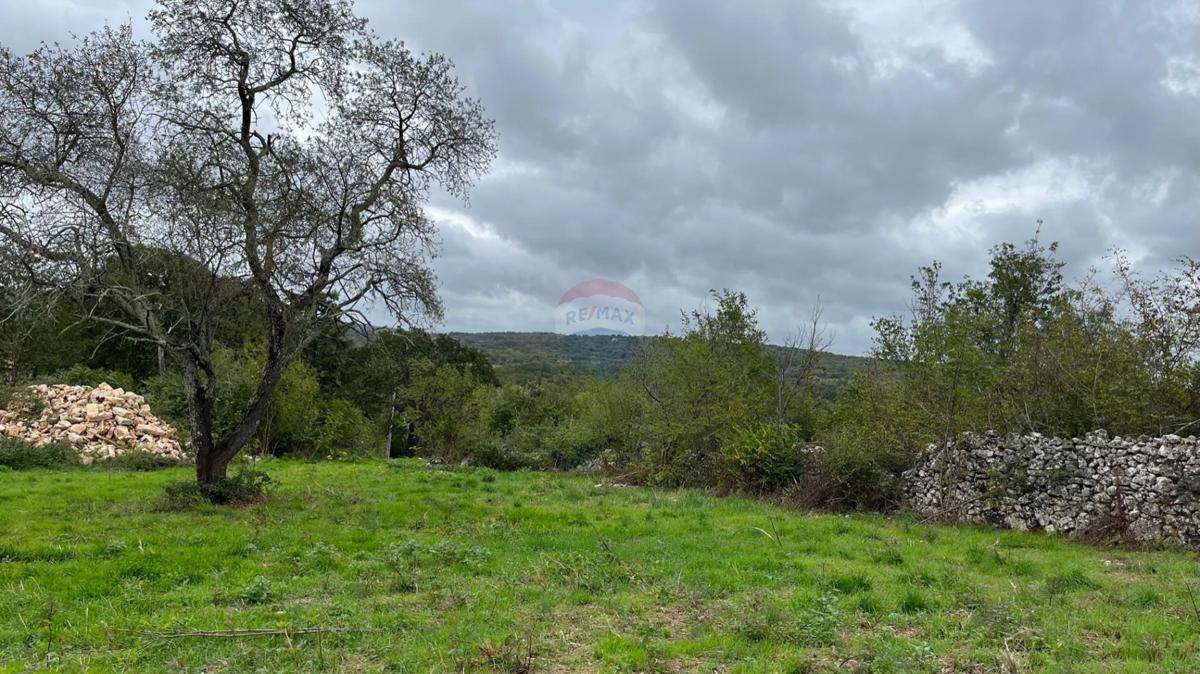 Terreno edificabile Sveti Lovreč, 1.597m2