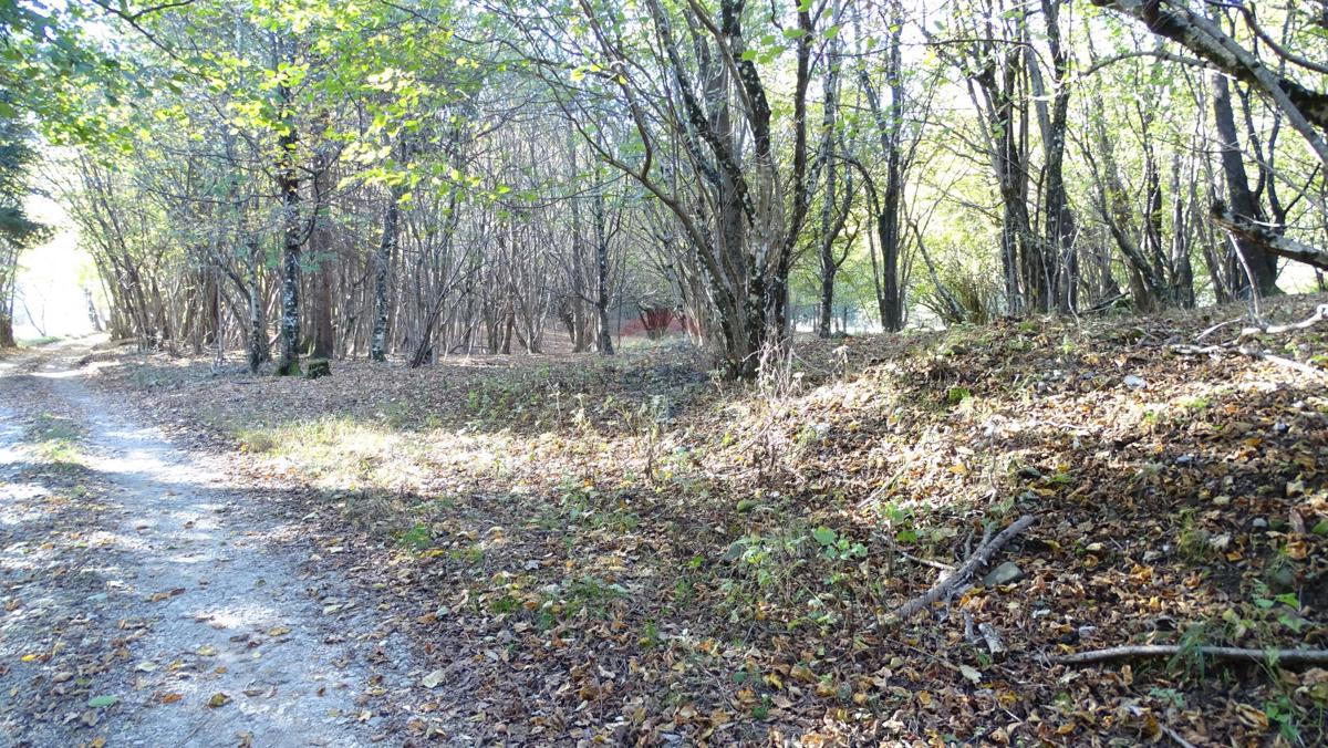 Terreno non edificabile Klana, 9.587m2