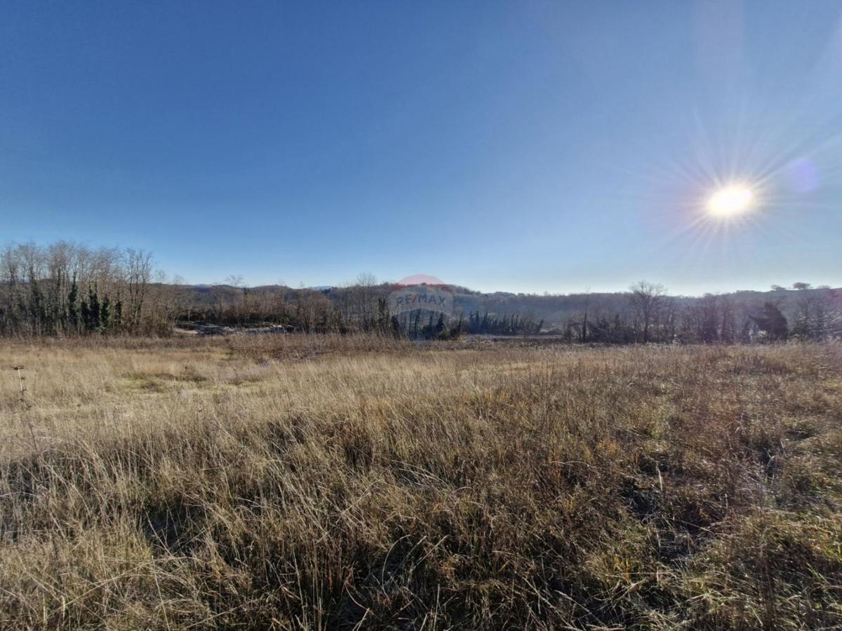 Terreno edificabile Trviž, Pazin - Okolica, 5.600m2