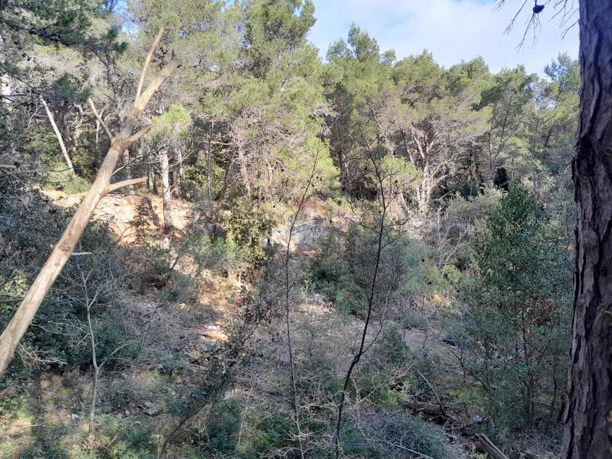 Terreno non edificabile Premantura, Medulin, 1.605m2