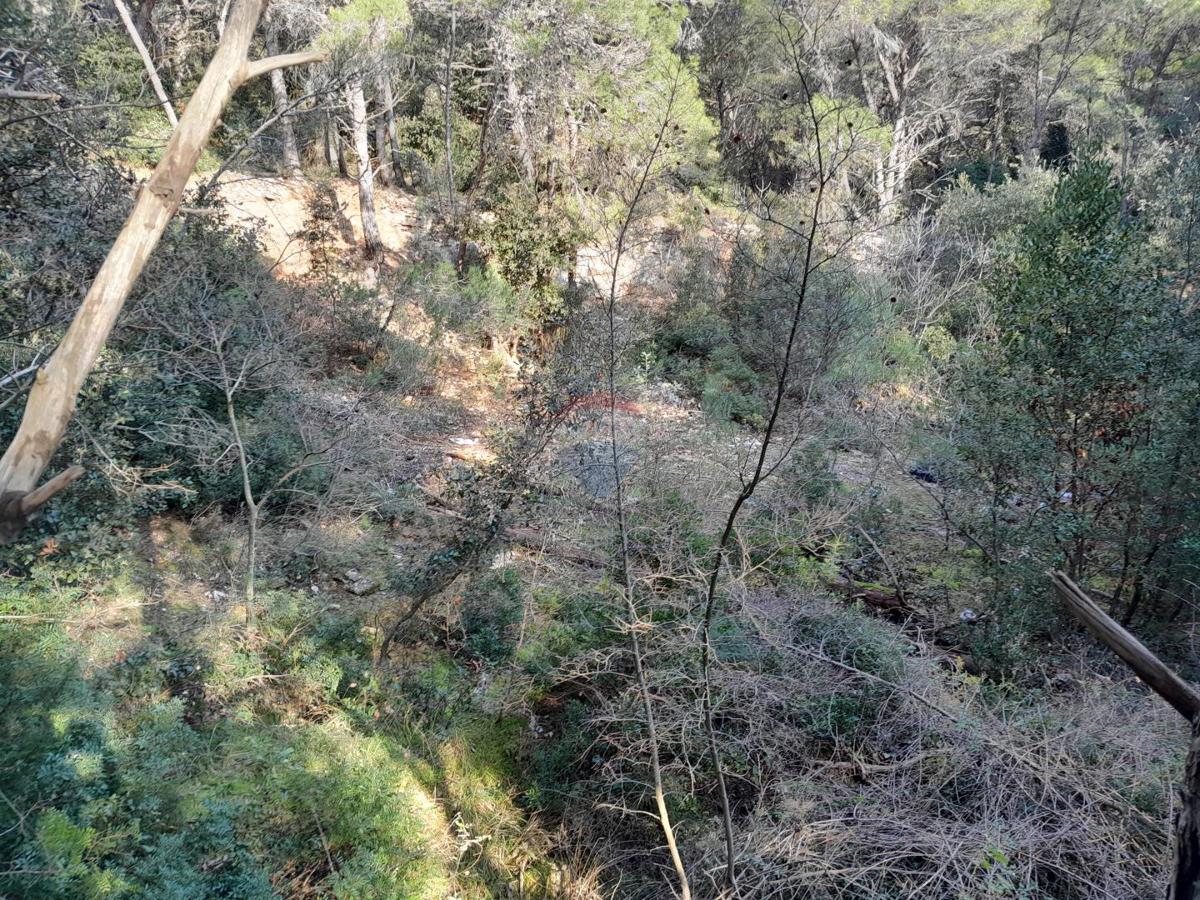 Terreno non edificabile Premantura, Medulin, 1.605m2
