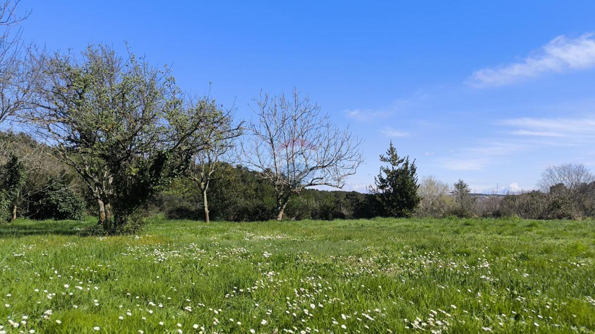 Terreno edificabile Premantura, Medulin, 1.492m2