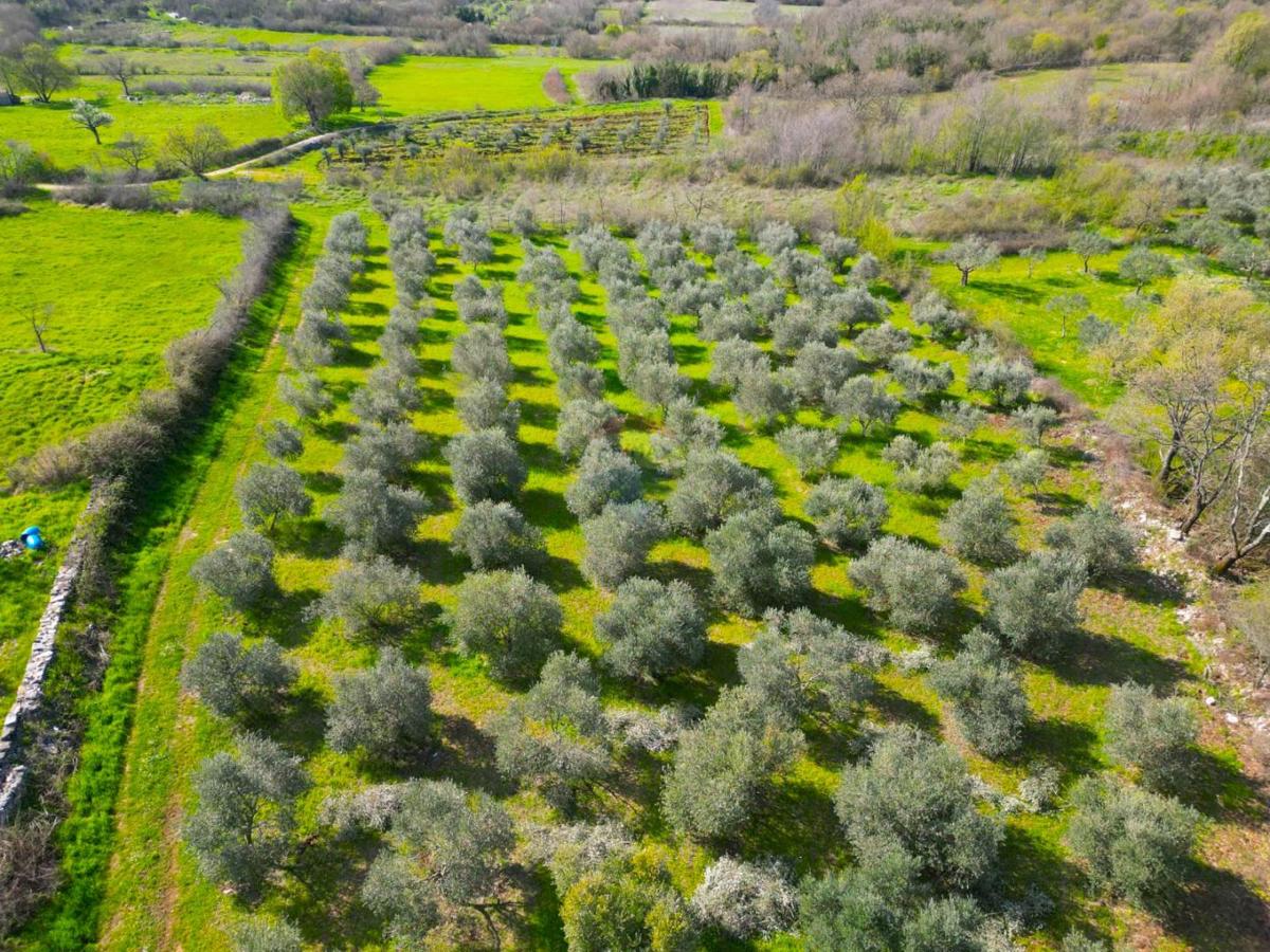 Terreno non edificabile Sošići, Kanfanar, 4.000m2