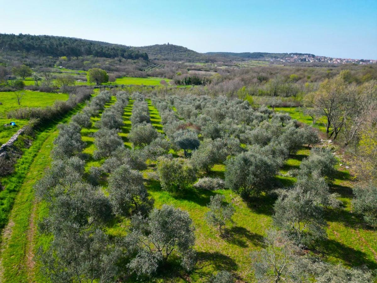 Terreno non edificabile Sošići, Kanfanar, 4.000m2