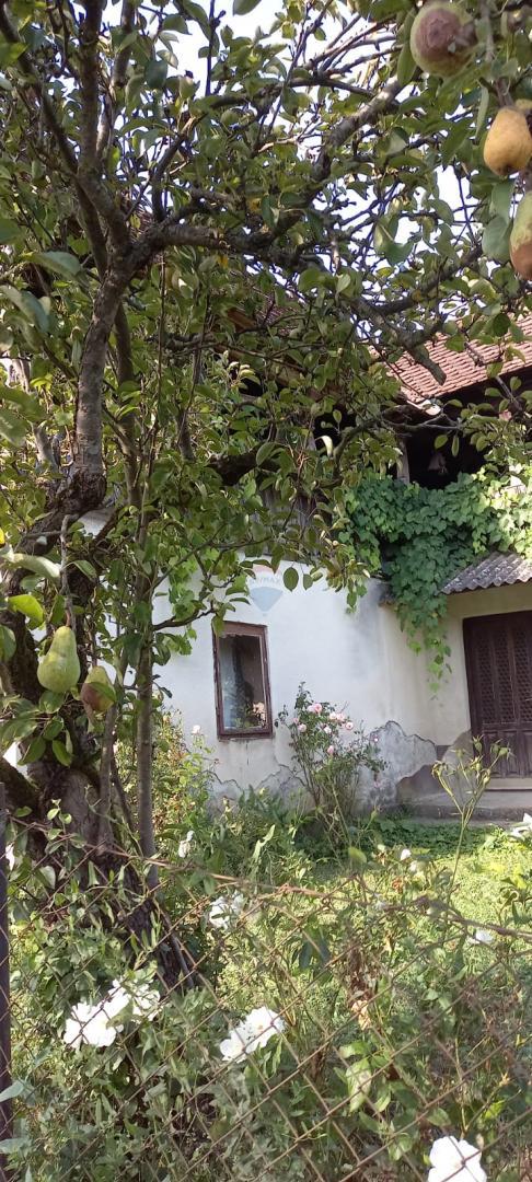 Casa Bukevje, Orle, 65m2