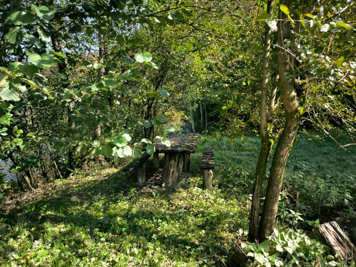 Terreno non edificabile Gornji Zvečaj, Generalski Stol, 1.166m2