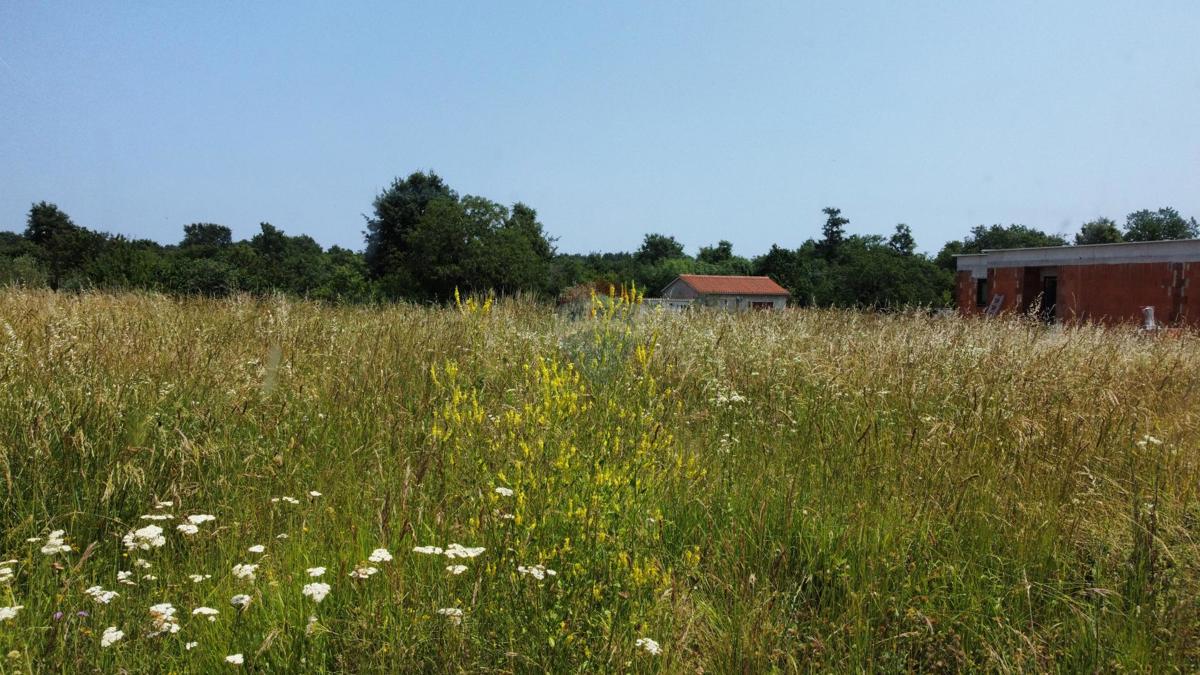 Terreno edificabile Svetvinčenat, 707m2