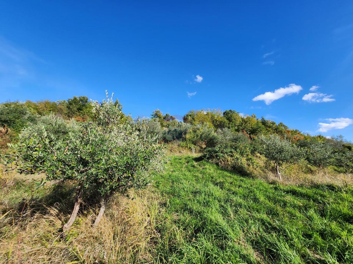 Terreno non edificabile Sovinjak, Buzet, 256.885m2