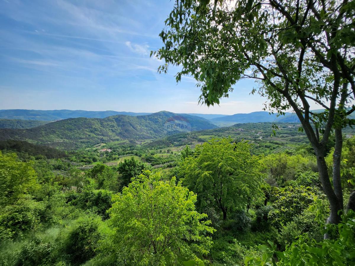 Terreno non edificabile Sovinjak, Buzet, 256.885m2