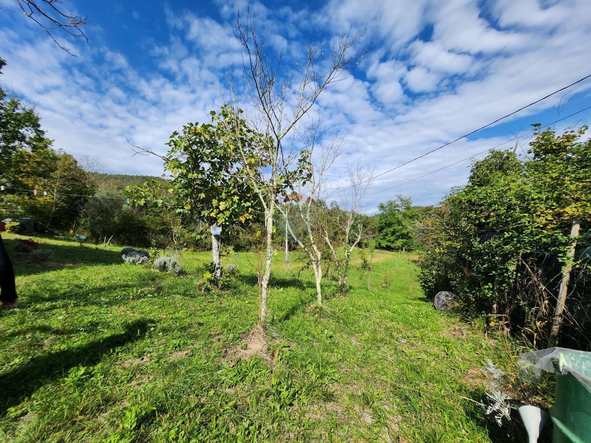 Terreno non edificabile Sovinjak, Buzet, 256.885m2