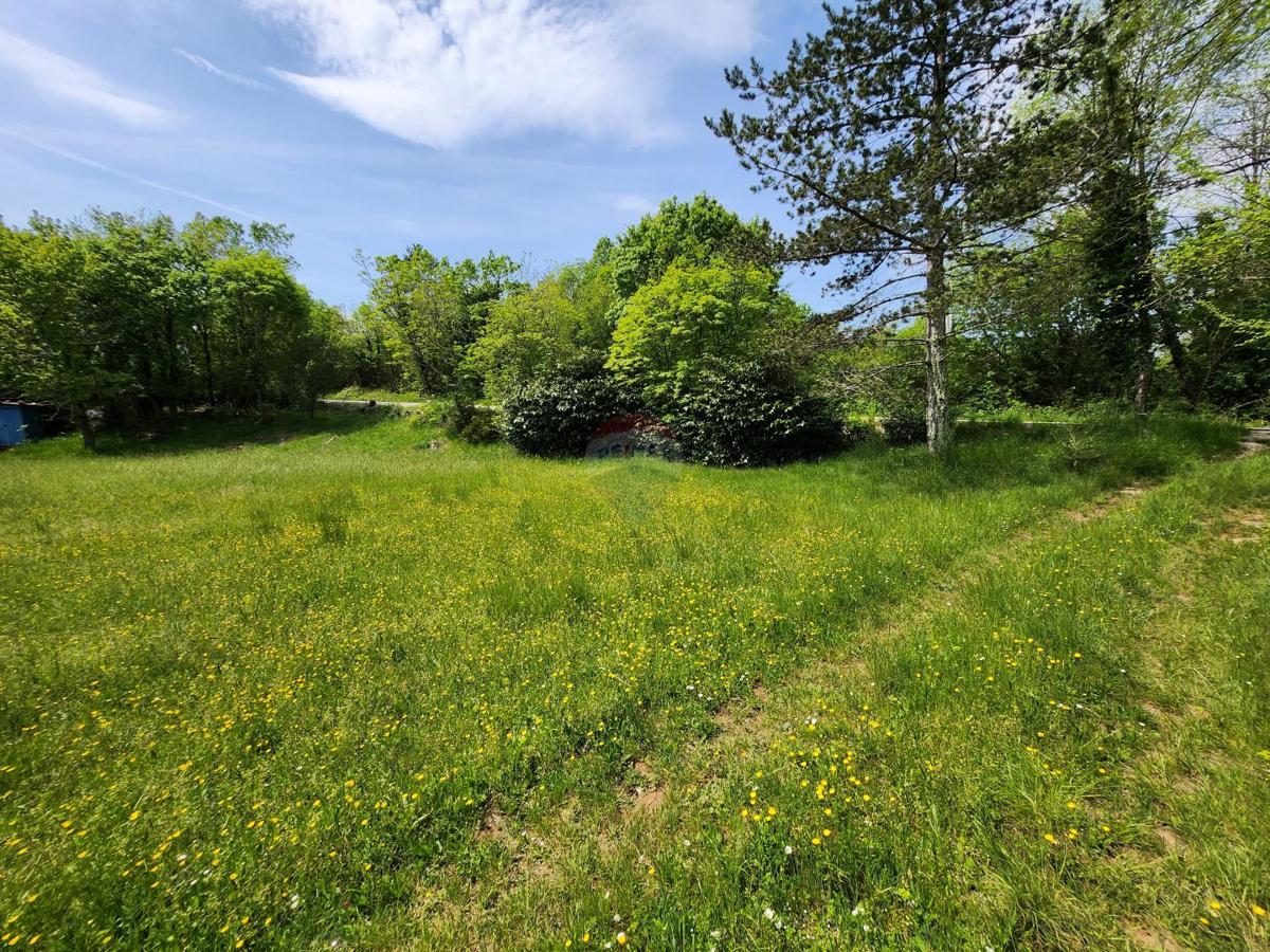 Terreno non edificabile Sovinjak, Buzet, 36.632m2