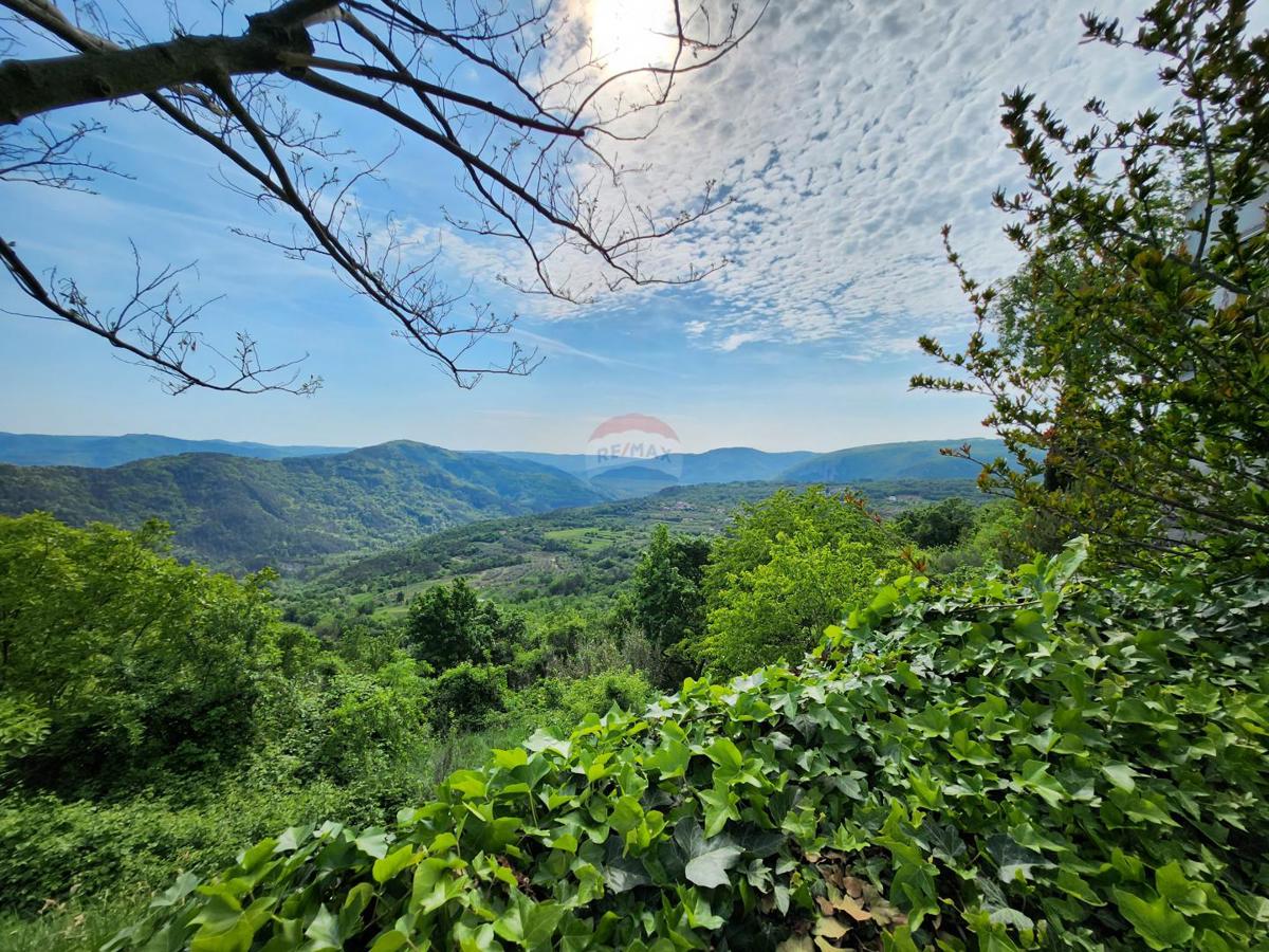 Terreno non edificabile Sovinjak, Buzet, 36.632m2