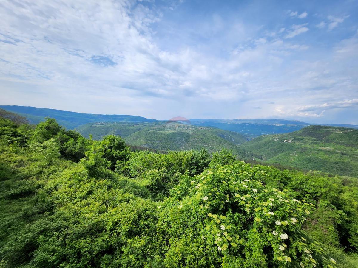 Terreno non edificabile Sovinjak, Buzet, 36.632m2