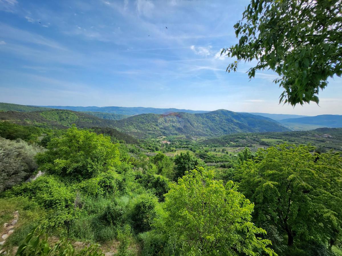 Terreno non edificabile Sovinjak, Buzet, 36.632m2
